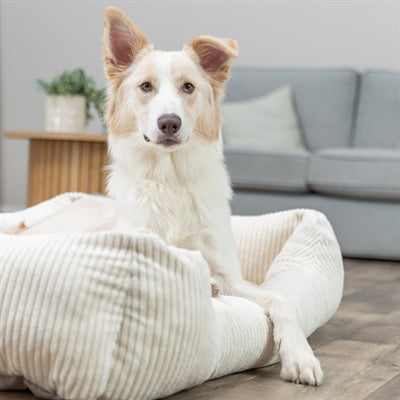 Duin orthopedische hondenmand – ribfluweel crème